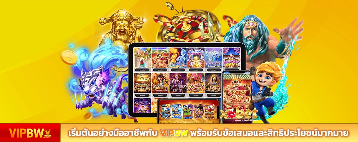 เริ่มต้นอย่างมืออาชีพกับ VIPBW พร้อมรับข้อเสนอและสิทธิประโยชน์มากมาย